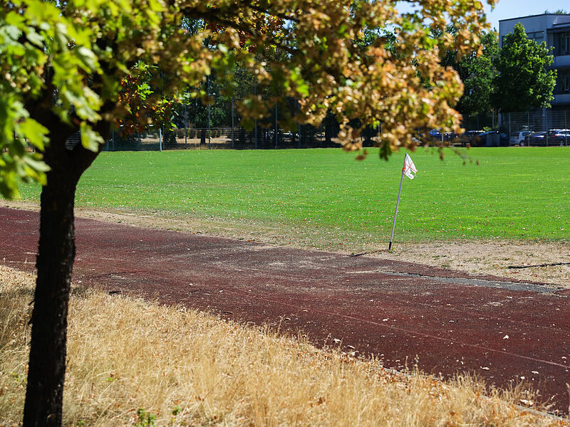 Uni Sportfeld