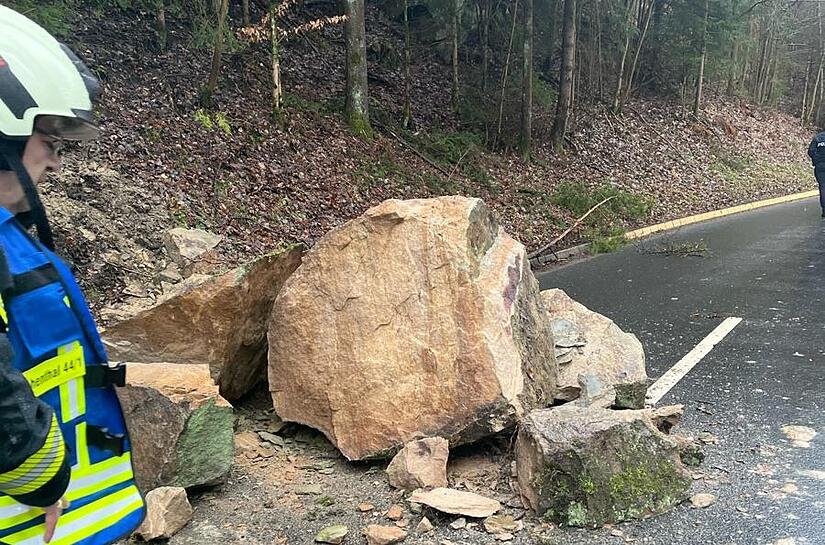 Ein gr&ouml;&szlig;erer Gesteinsbrocken musste von der Feuerwehr beseitigt werden.