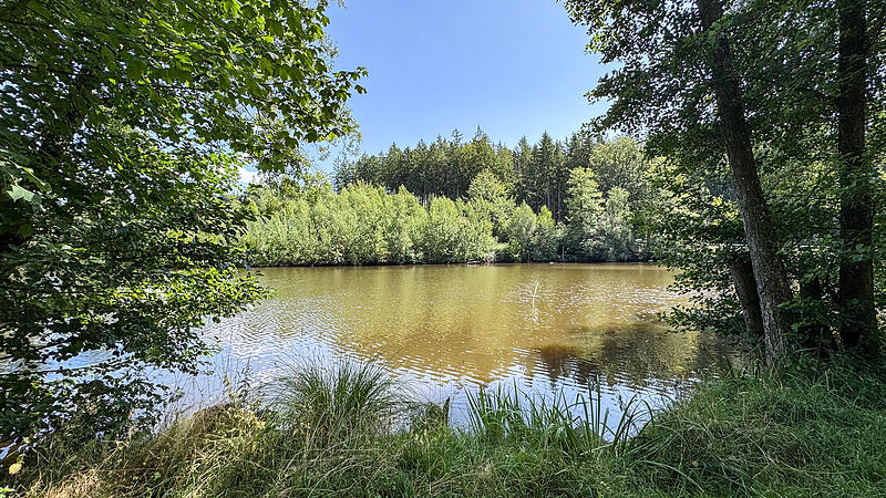 Spiegelsee Kupferberg