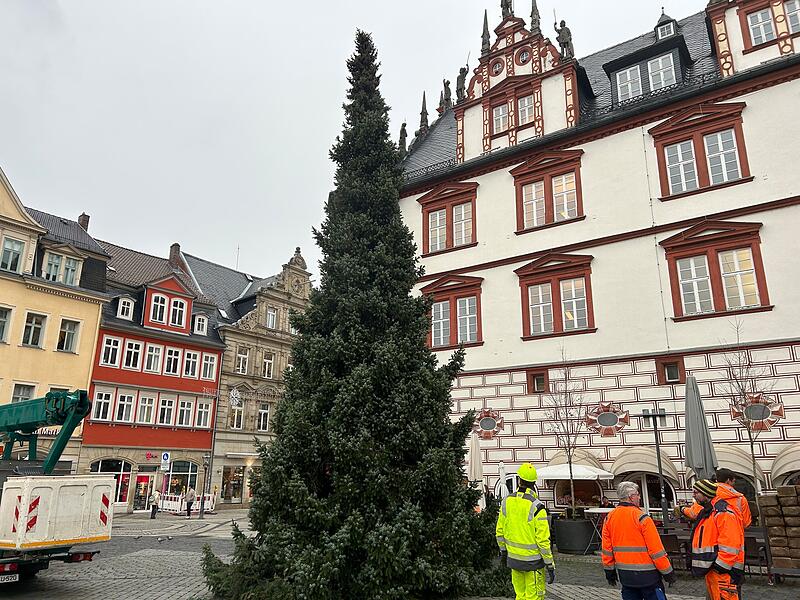 Unterwegs mit dem Coburger Weihnachtsbaum