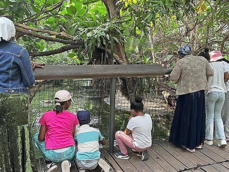 Ausflug in den Tiergarten.