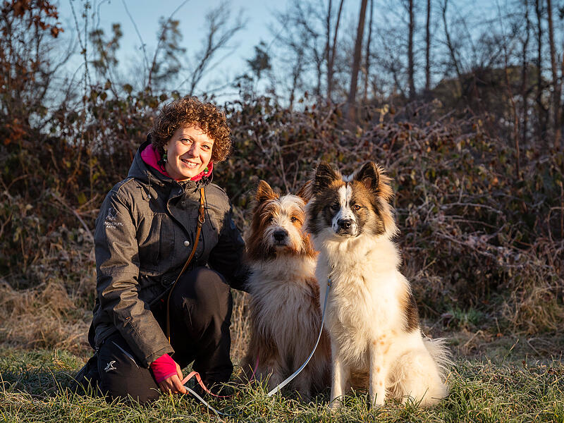 Sinja Sarcletti mit ihren Hunden Bava (links) und Leano (rechts) in Poxdorf: Im Zughundesport z&auml;hlt nicht nur Tempo, sondern vor allem das Zusammenspiel im Team aus Mensch und Hund.