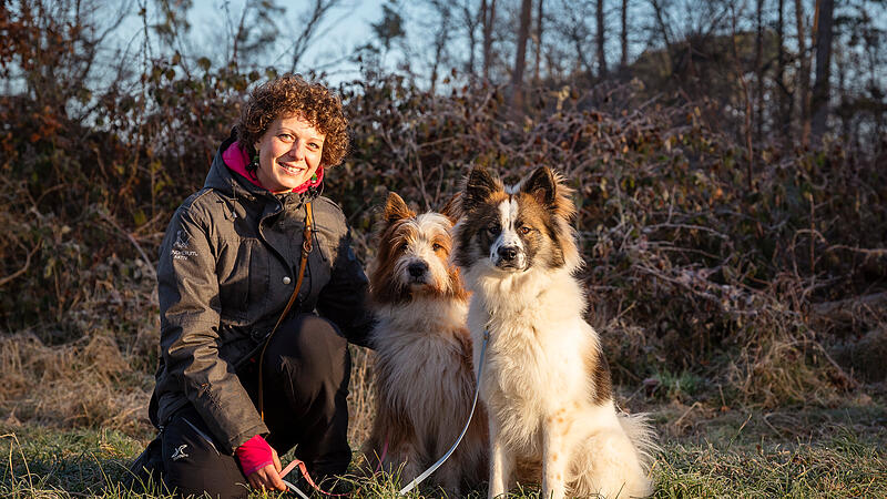 Sinja Sarcletti mit ihren Hunden Bava (links) und Leano (rechts) in Poxdorf: Im Zughundesport z&auml;hlt nicht nur Tempo, sondern vor allem das Zusammenspiel im Team aus Mensch und Hund.