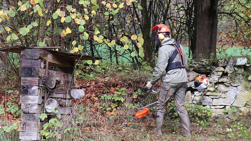 Die Grundmauern des ehemaligen Bauernhauses werden von Bewuchs freigeschnitten. So kann die Sonne die Steine wieder erw&auml;rmen - der Lebensraum w&auml;rmeliebender Arten bleibt erhalten.
