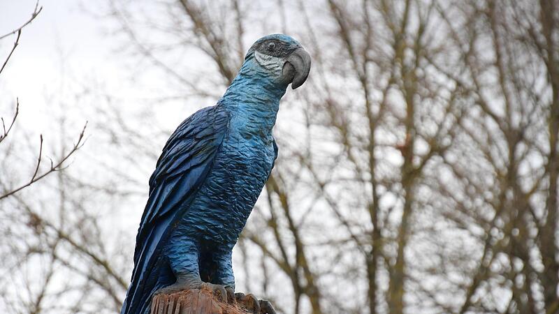 1,20 Meter hoch ist der Spix-Ara aus Eiche, den Kettens&auml;gen-K&uuml;nstlerin Res Hofmann geschaffen hat und der den H&ouml;chstadter Engelgarten ziert.