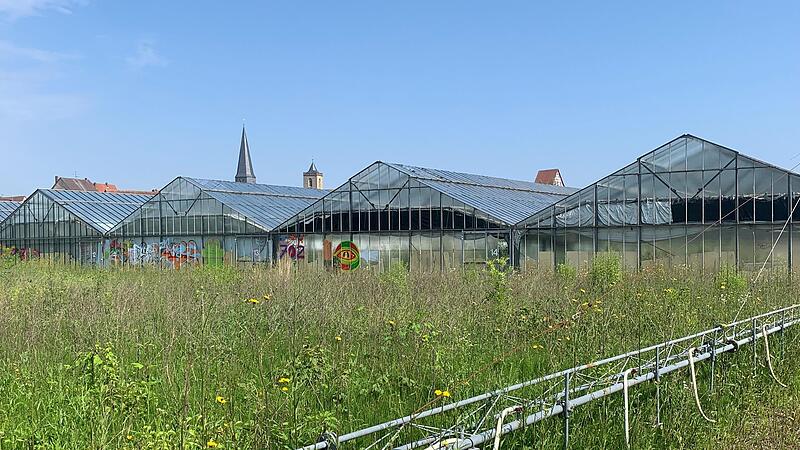 Ungenutzt stehen die Treibhäuser am Rande der Kernstadt. Auf dem Areal soll moderner Wohnraum entstehen, aber das Verfahren zieht sich hin.