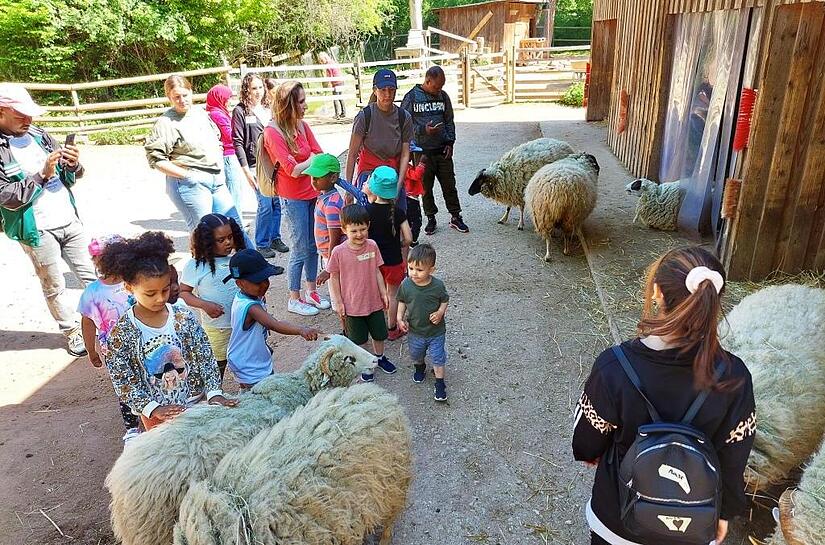 Auf der Jugendfarm war einiges los. Kinder und Jugendliche durften zum Beispiel Schafe streicheln. Auf der Jugendfarm war einiges los. Kinder und Jugendliche durften zum Beispiel Schafe streicheln.