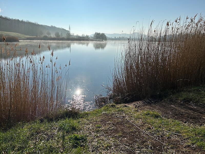 Das Wasserwirtschaftsamt Kronach, das f&uuml;r den Coburger Goldbergsee zust&auml;ndig ist, hat den kleinen Steg entfernt.
