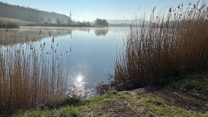 Das Wasserwirtschaftsamt Kronach, das f&uuml;r den Coburger Goldbergsee zust&auml;ndig ist, hat den kleinen Steg entfernt.