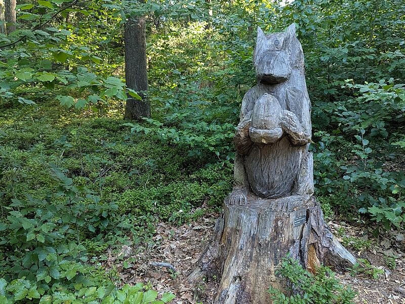 Naturlehrpfad RehbergNaturlehrpfad Rehberg