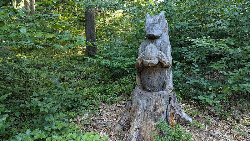 Naturlehrpfad RehbergNaturlehrpfad Rehberg