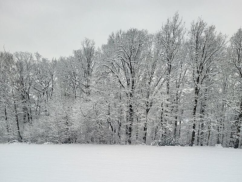 Schnee in Kulmbach: Die sch&ouml;nsten Leserfotos