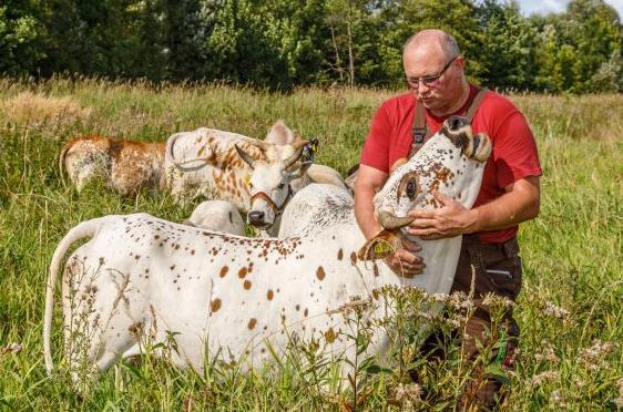&bdquo;Tier   sind aus Angst aggressiv&ldquo;: Norbert B&ouml;hmer aus Plankenfels hat bereits Erfahrungen mit dem Wolf machen m&uuml;ssen.Forchheim & Fr&auml;nkische Schweiz
