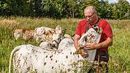 &bdquo;Tier   sind aus Angst aggressiv&ldquo;: Norbert B&ouml;hmer aus Plankenfels hat bereits Erfahrungen mit dem Wolf machen m&uuml;ssen.Forchheim & Fr&auml;nkische Schweiz