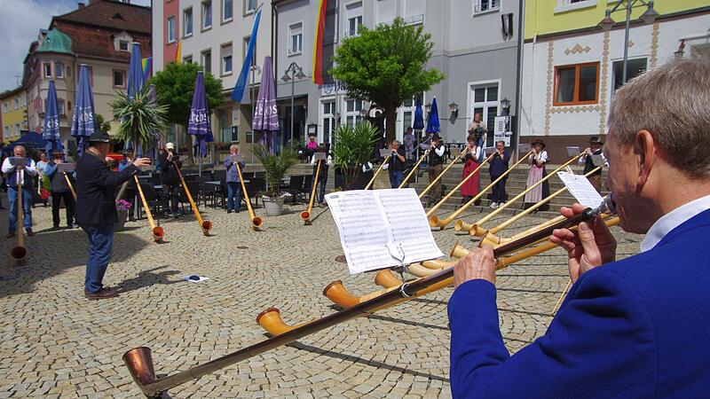 Alphorntage Bad Brückenau Alphorntage Bad Brückenau