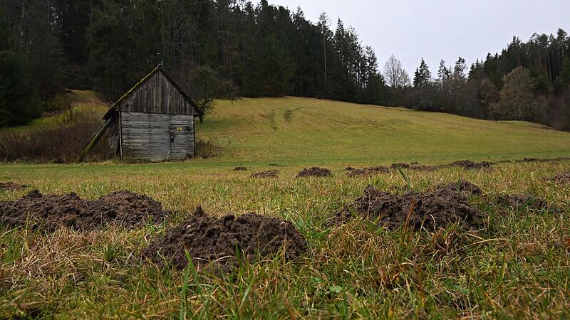 War es das mit dem Skifahren? Der Winter kommt nur schwer in Gang. An den  wenigen Schleppliften in der Region Forchheim (hier die Schweinsleite in Draisendorf) war bisher kein Betrieb.Forchheim & Fr&auml;nkische Schweiz