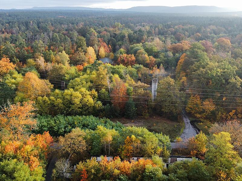 Hauptsmoorwald rund um die ehemalige Heeresmunitionsanstalt Muna in Bamberg