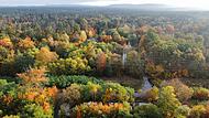 Hauptsmoorwald rund um die ehemalige Heeresmunitionsanstalt Muna in Bamberg