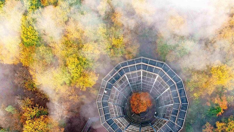 Rund um den Baumwipfelpfad findet der Markt wieder statt.