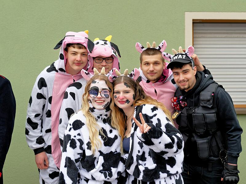 Alle Fotos vom Faschingszug in Oberhaid 2026