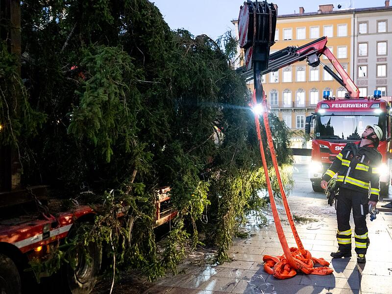 Christbaum auf dem Marienplatz