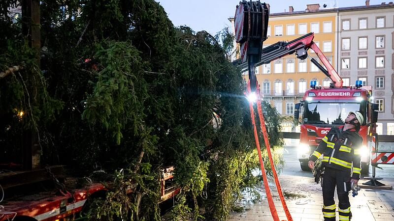 Christbaum auf dem Marienplatz