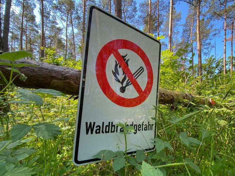 In Unterfranken herrscht Waldbrandgefahr.