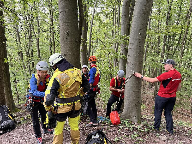 Waldbrandübung Kirchehrenbach 2024Waldbrandübung Kirchehrenbach 2024 Waldbrandübung Kirchehrenbach 2024