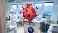 Um die Omikron-Variante nachweisen zu können, braucht es eine aufwändige Sequenzierung; nur so können die genauen Varianten und Mutationen vom Corona-Virus nachgewiesen werden. Das Labor, das für den Landkreis Haßberge arbeitet, ist damit in  ein bis zwei Tagen durch und somit recht fix.