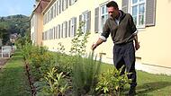 Neue Kr&auml;uterbeete am F&uuml;rstenhof erweisen sich als Klimagewinner.