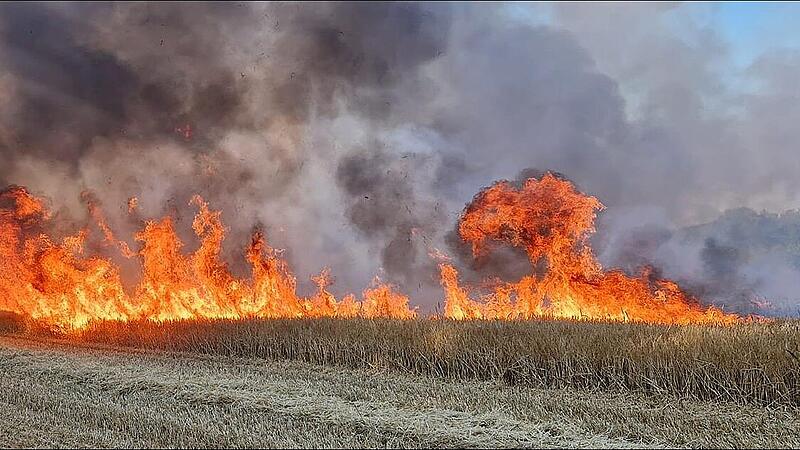 Lichterloh brennt das Getreidefeld bei Aisch. Mehrere Feuerwehren eilten herbei. Lichterloh brennt das Getreidefeld bei Aisch. Mehrere Feuerwehren eilten herbei.