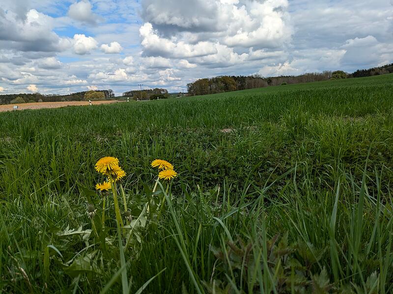 Auf dieser Wiese bei Neuhaus soll ein Wellnesshotel entstehen.