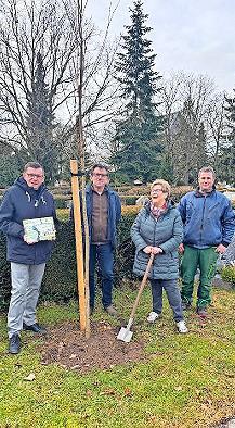 B&uuml;rgermeister Armin Warmuth, Dieter B&uuml;ttner (Landratsamt Bad Kissingen), Ute Merz (Gartenbauverein Hammelburg) und Friedhofsg&auml;rtner Mathias Emmert (von links).