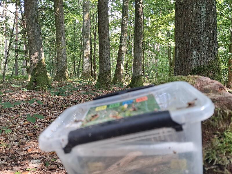 So sieht ein gefundener Geocache irgendwo in Franken aus. Wir gehen der frage nach, ob diese Schatzsuche Sport ist.