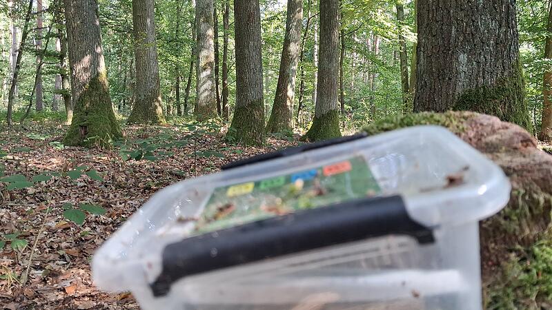 So sieht ein gefundener Geocache irgendwo in Franken aus. Wir gehen der frage nach, ob diese Schatzsuche Sport ist. So sieht ein gefundener Geocache irgendwo in Franken aus. Wir gehen der frage nach, ob diese Schatzsuche Sport ist.