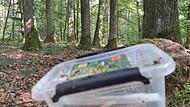So sieht ein gefundener Geocache irgendwo in Franken aus. Wir gehen der frage nach, ob diese Schatzsuche Sport ist.