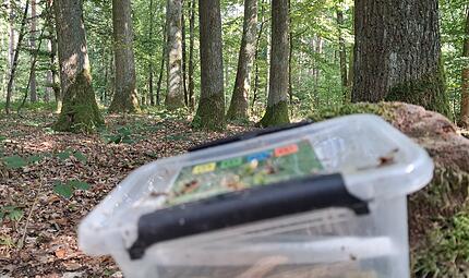 So sieht ein gefundener Geocache irgendwo in Franken aus. Wir gehen der frage nach, ob diese Schatzsuche Sport ist.