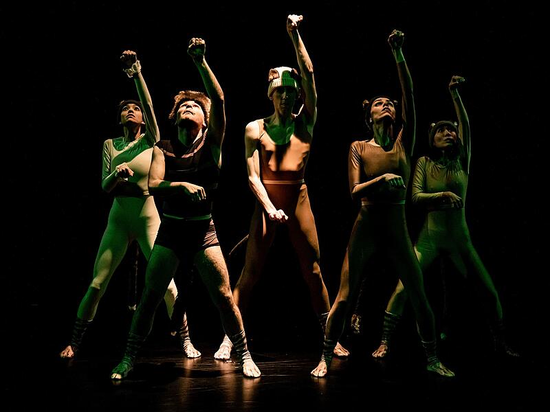 Das Kammerballett "First Steps" feierte erfolgreiche Premiere im Theater in der Reithalle in Coburg.Kammerballett "First Steps" in Coburg Das Kammerballett "First Steps" feierte erfolgreiche Premiere im Theater in der Reithalle in Coburg.