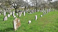 Der jüdische Friedhof in Hagenbach.