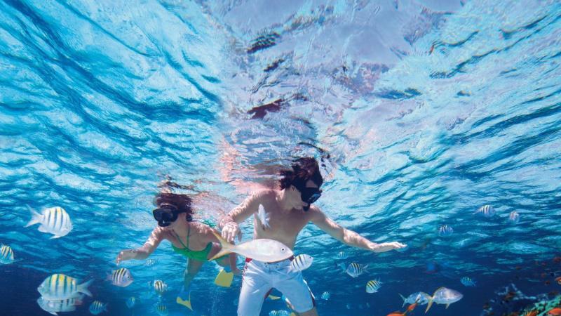 Unterwasserwelt Dominikanische Republik