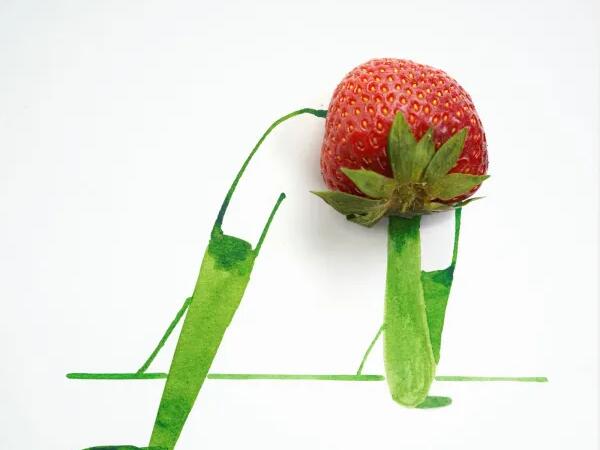 Sunday Sketch (Strawberry)- Christoph Niemann