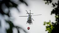Waldbrand in Hessen Waldbrand in Hessen