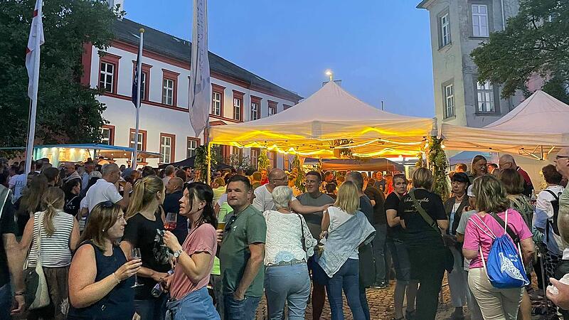 Vom Handwerkermarkt &uuml;ber Bratwurst vom Grill bis hin zum Historienspiel - beim H&ouml;chstadter Altstadtfest 2024 war viel geboten.