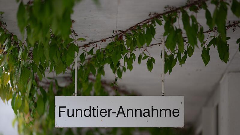 Tierheim Berlin