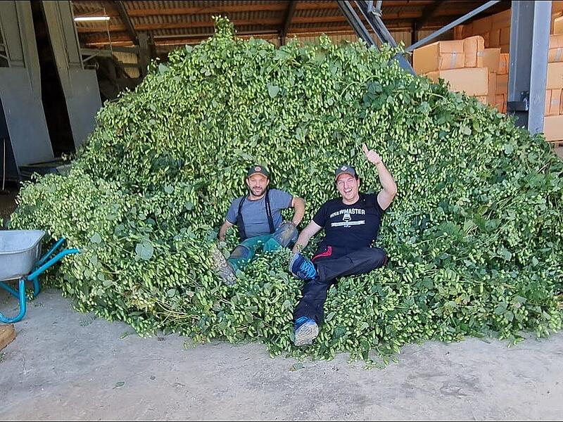 Braumeister David Hertl (rechts) braucht in seiner Braumanufaktur verh&auml;ltnism&auml;&szlig;ig viel Hopfen, vor allem f&uuml;r die sogenannten Craftbiere.