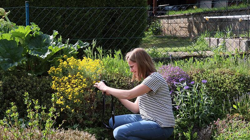Gartenbewerterin Lotti Asen schaut genau hin und dokumentiert das, was sie sieht, mit der Kamera.
