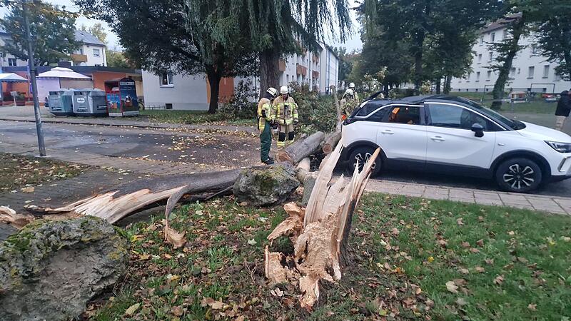 Sturm Bamberg Im Bamberger Stadtteil Gereuth ist ein Baum auf ein Auto gestürzt.