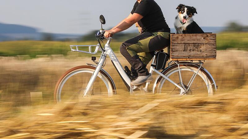 Bitte verzichten Sie auf Fahrradtouren mit Ihrem Hund bei Hitze.