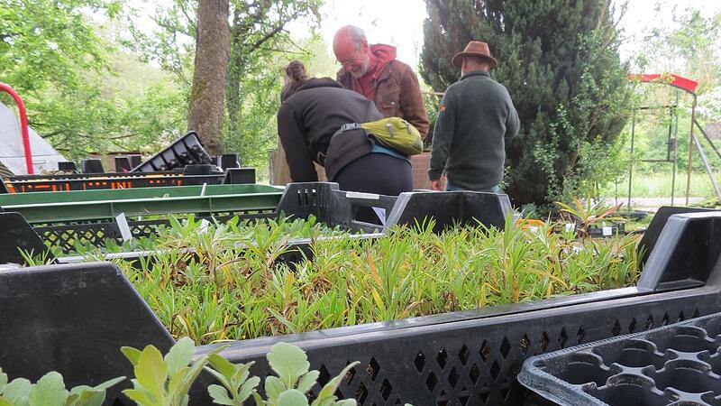 Tauschtag im „Permakulturgärtchen“ Tauschtag im „Permakulturgärtchen“