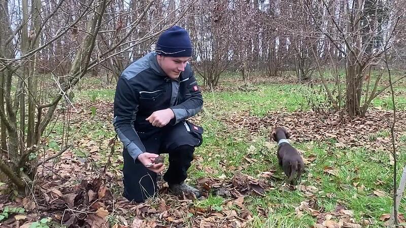 Tr&uuml;ffelsuche in der Fr&auml;nkischen Schweiz mit Hunden